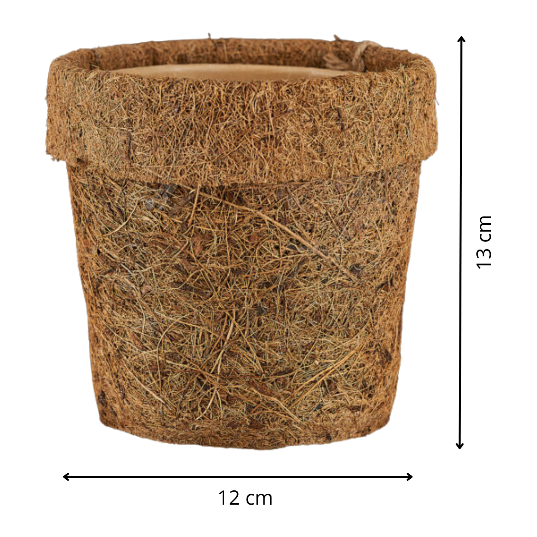 Kokodama pot (verschillende varianten)