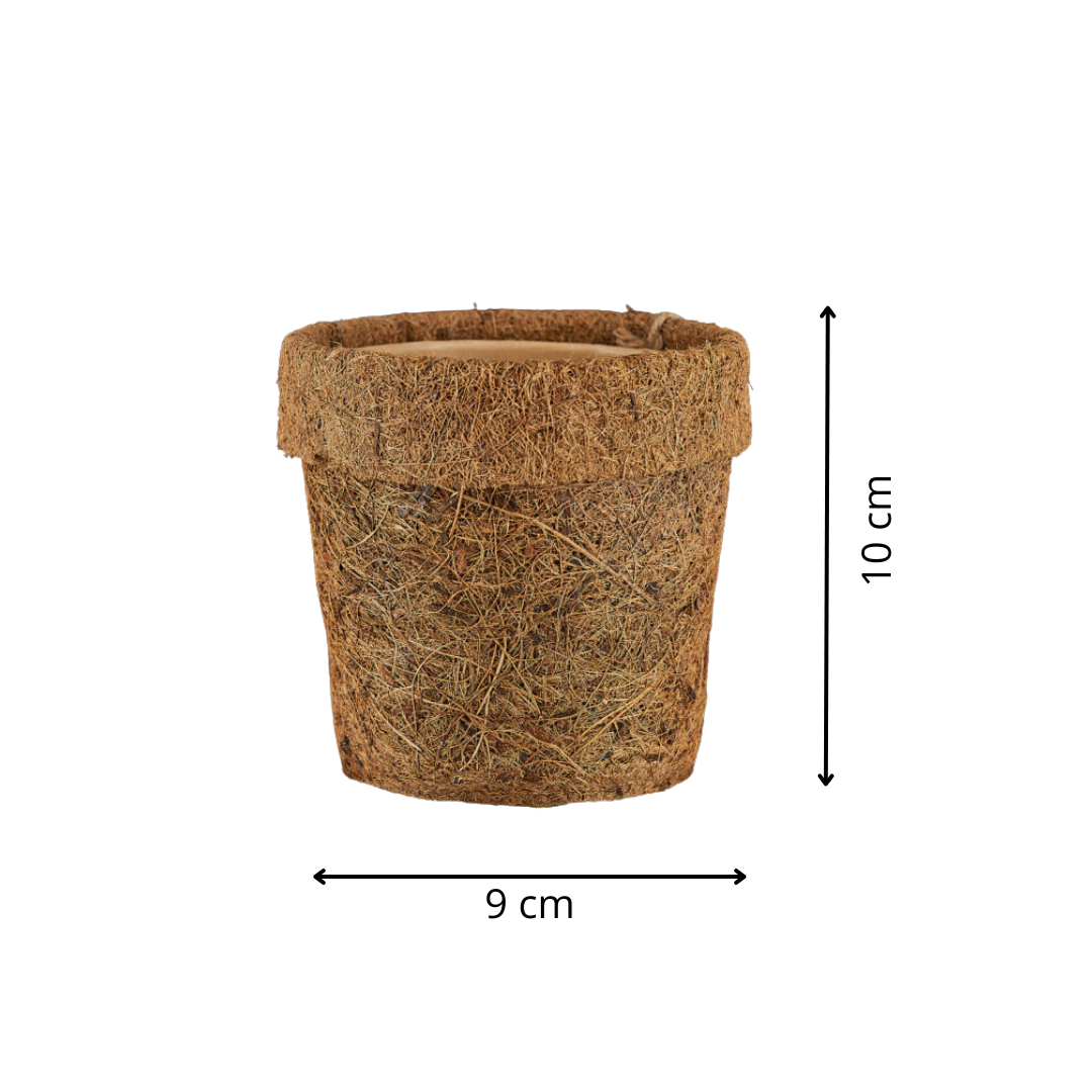 Kokodama pot (verschillende varianten)