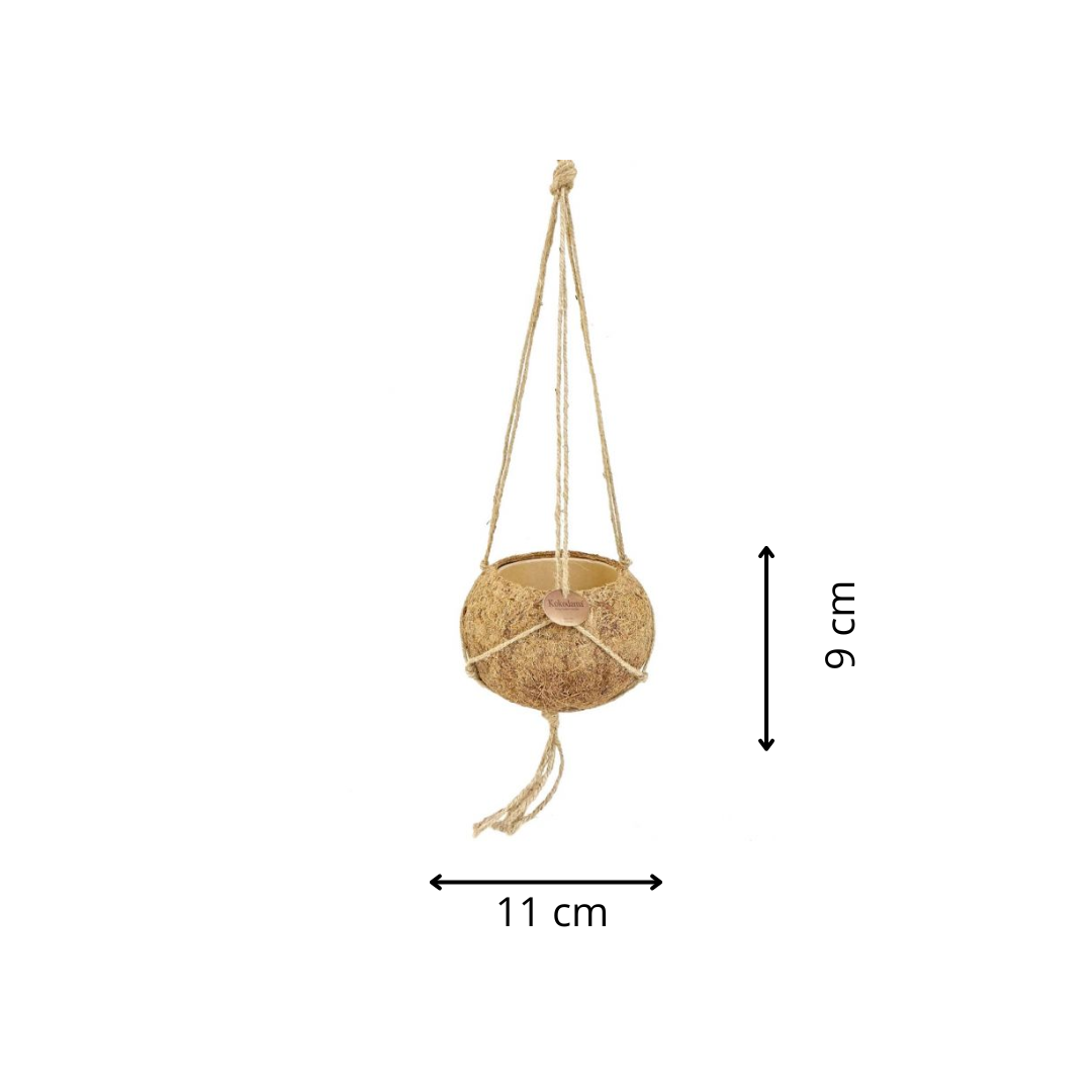 Kokodama pot (verschillende varianten)