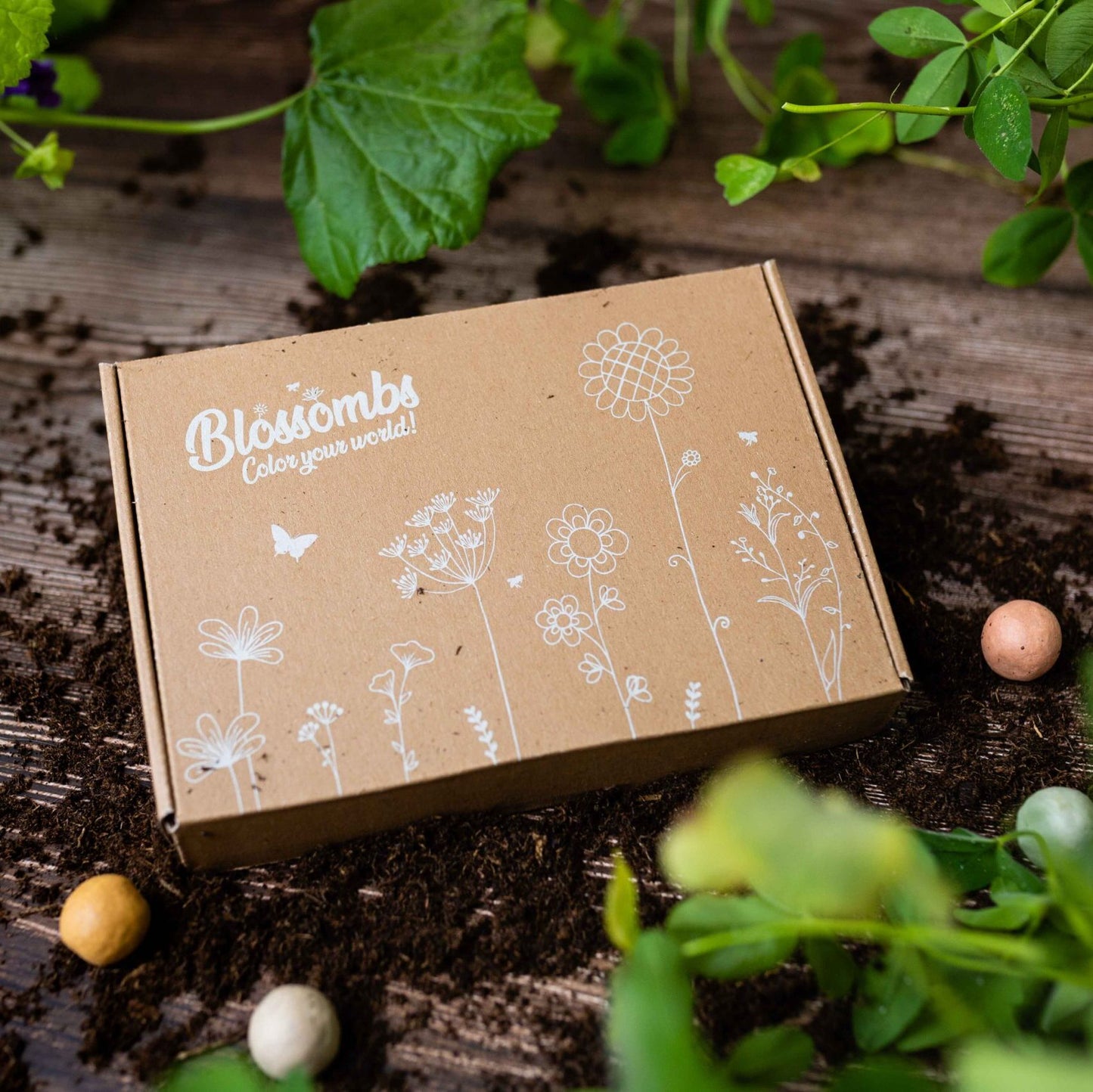 Blossombs - Giftbox Small