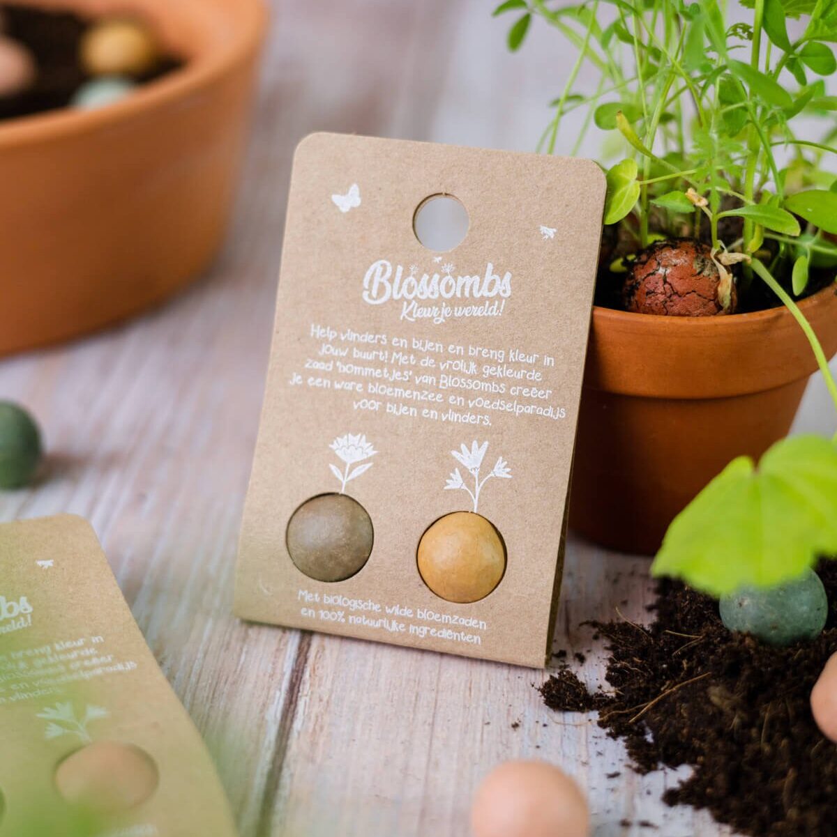 Blossombs - weggeefcadeautje 2 stuks
