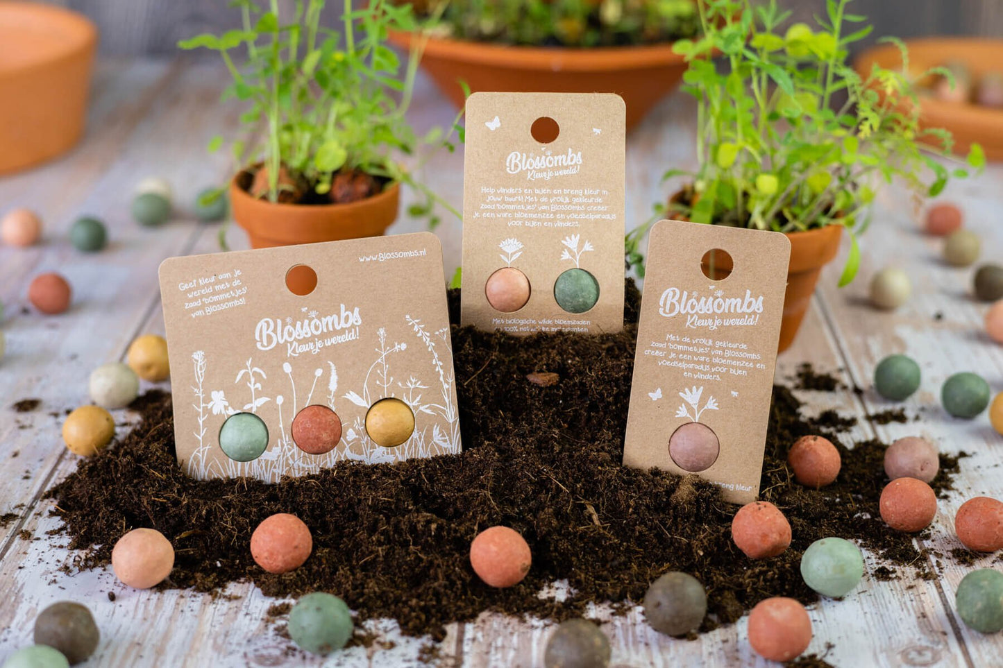 Blossombs - weggeefcadeautje 2 stuks