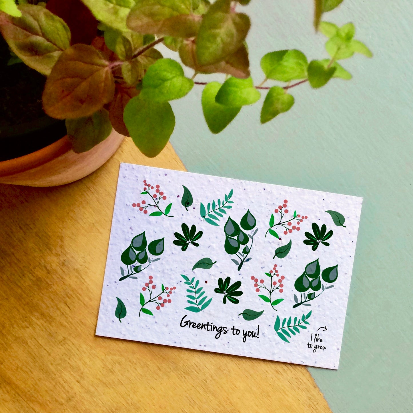 Bloom Your Message - plantbare kaarten - colorful collection