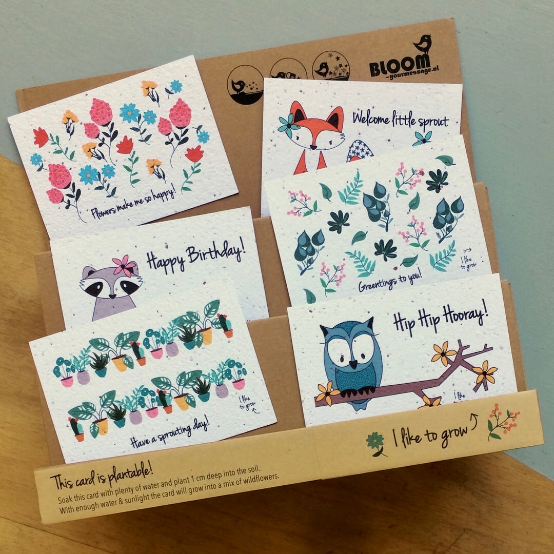 Bloom Your Message - plantbare kaarten - colorful collection