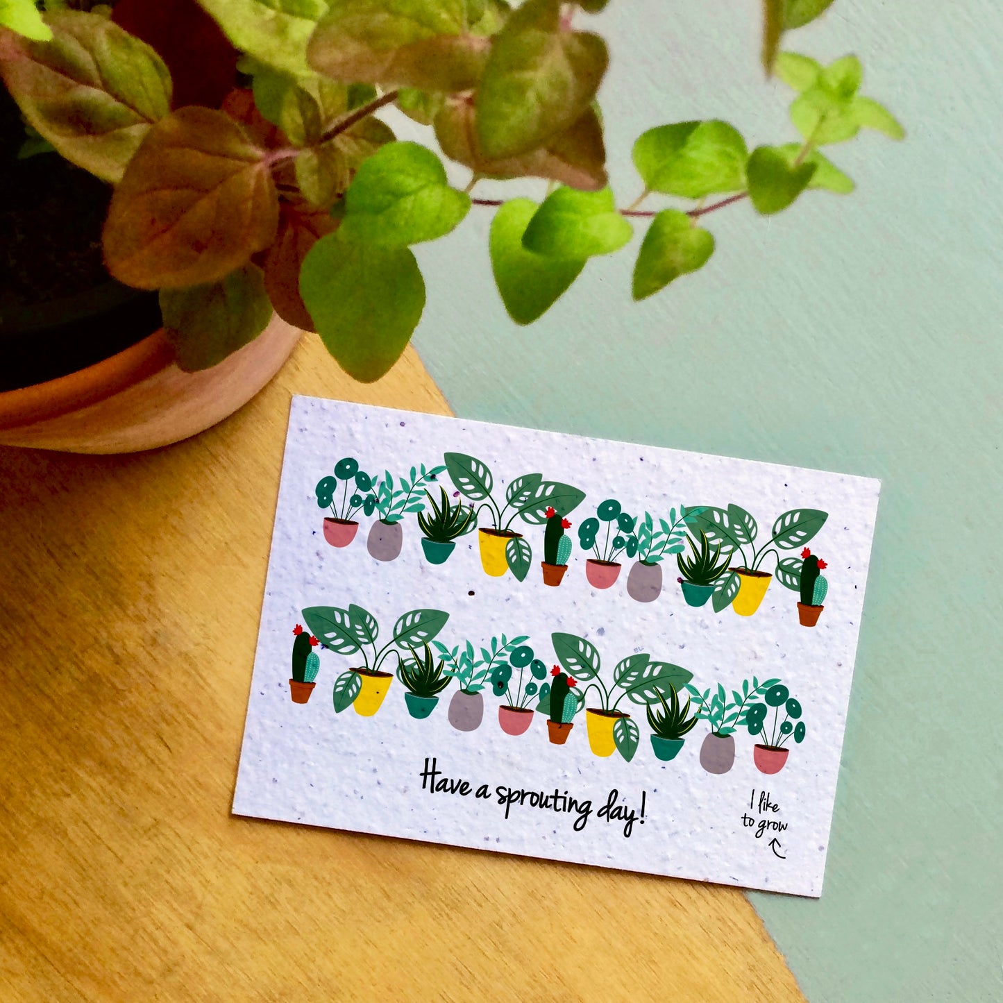 Bloom Your Message - plantbare kaarten - colorful collection