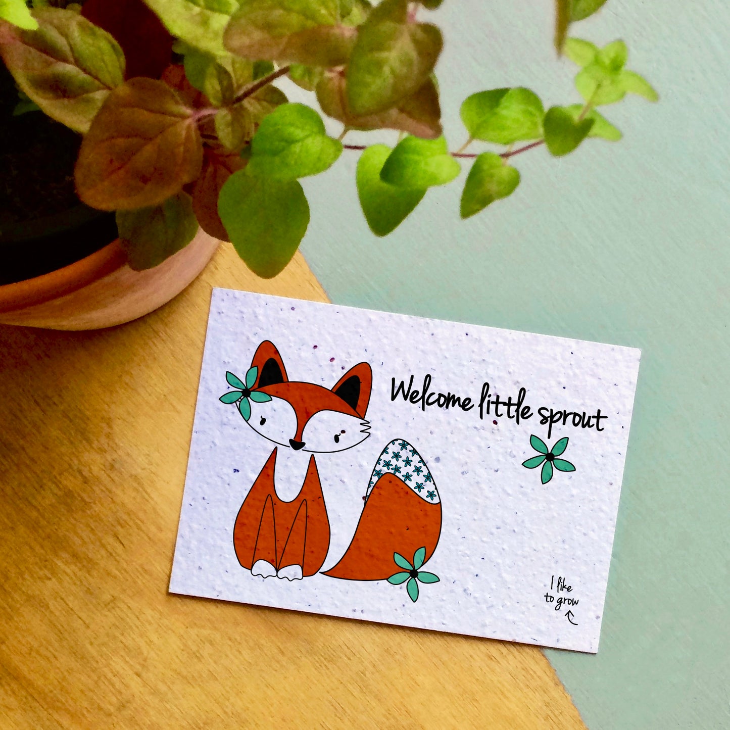 Bloom Your Message - plantbare kaarten - colorful collection