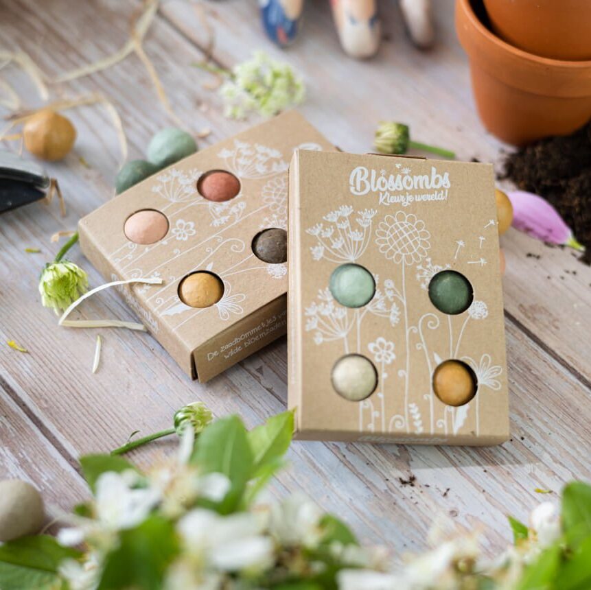 Blossombs - Giftbox Mini